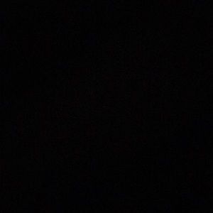 Meet your Posher, Jake